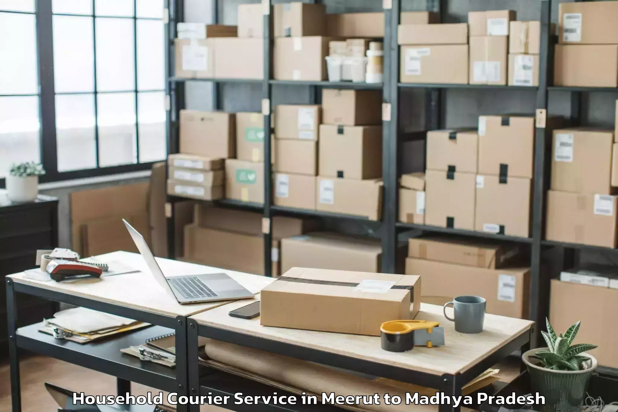 Meerut to Gandhwani Household Courier Booking